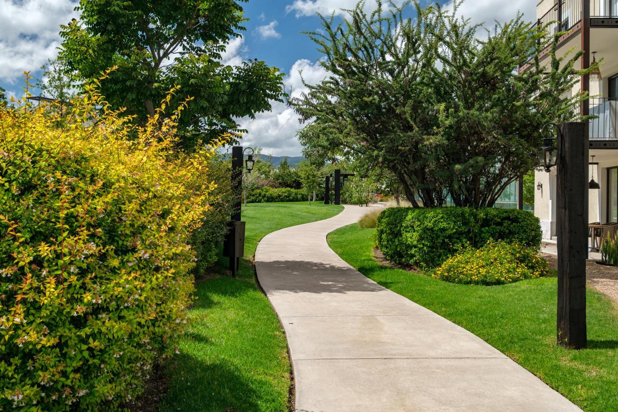 Casa Itzae La Luminaria Dog Friendly