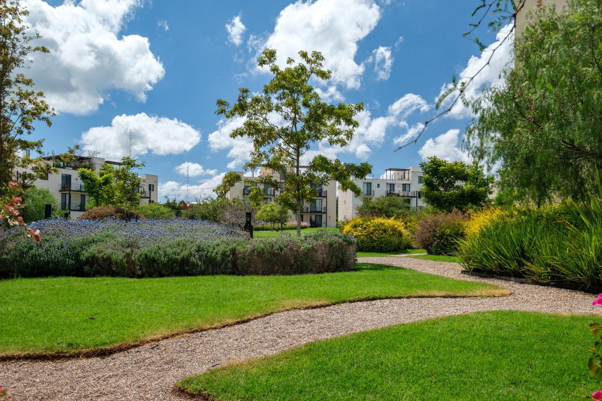 Casa Itzae La Luminaria Dog Friendly * San Miguel de Allende